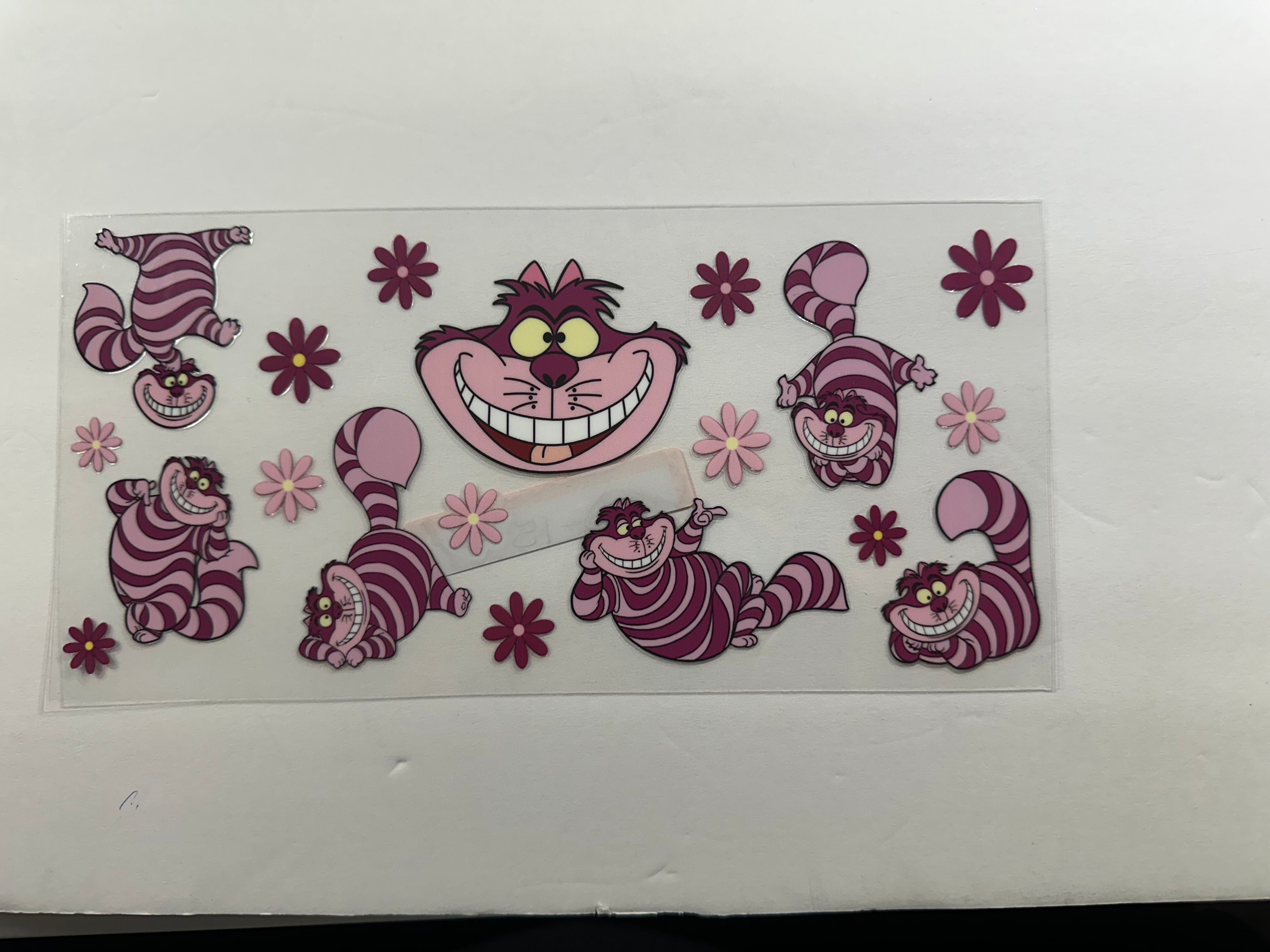 D-15 Cheshire Cat