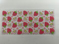 F-001 strawberries & rainbows