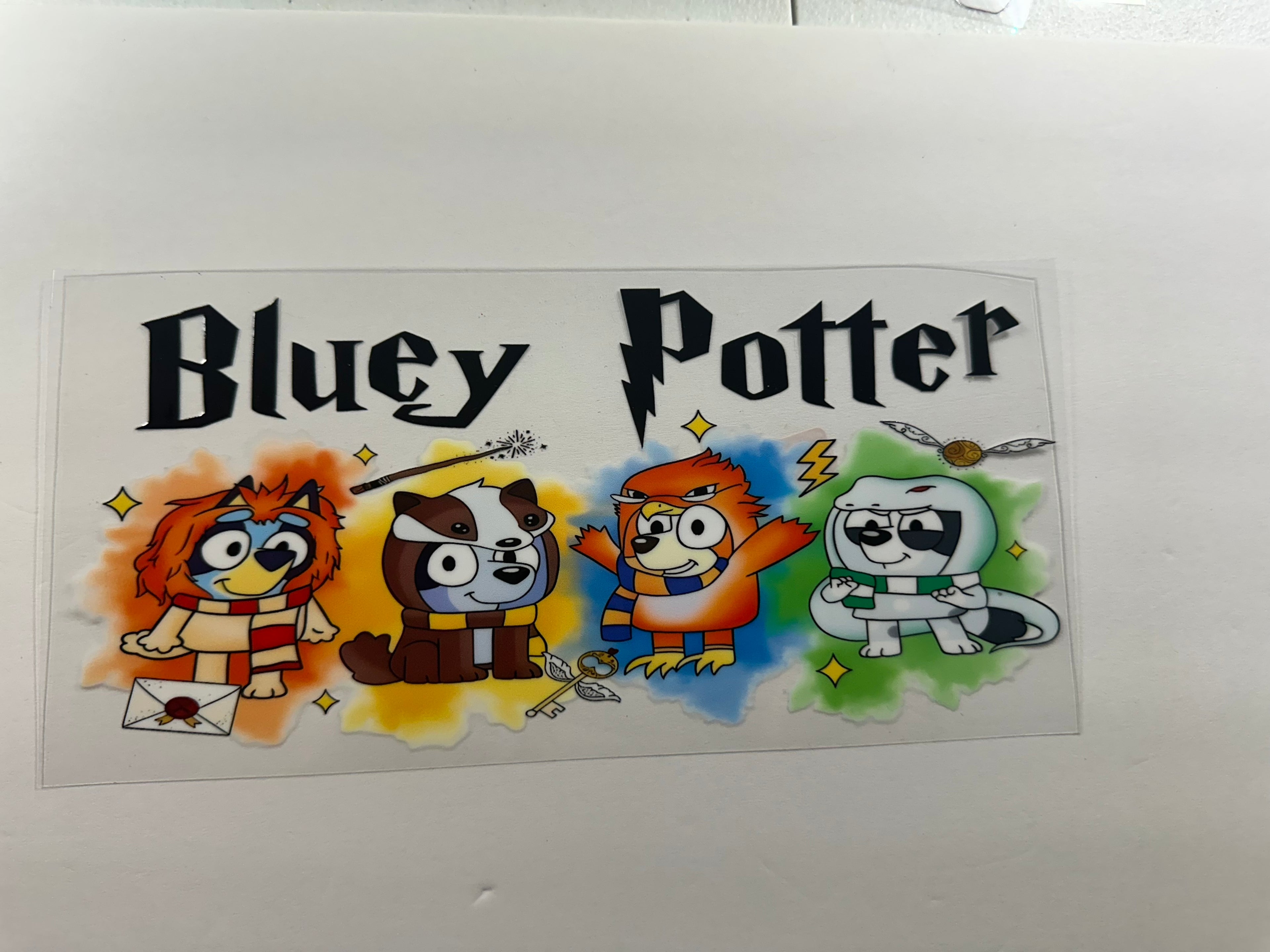 CTC-011 bluey potter